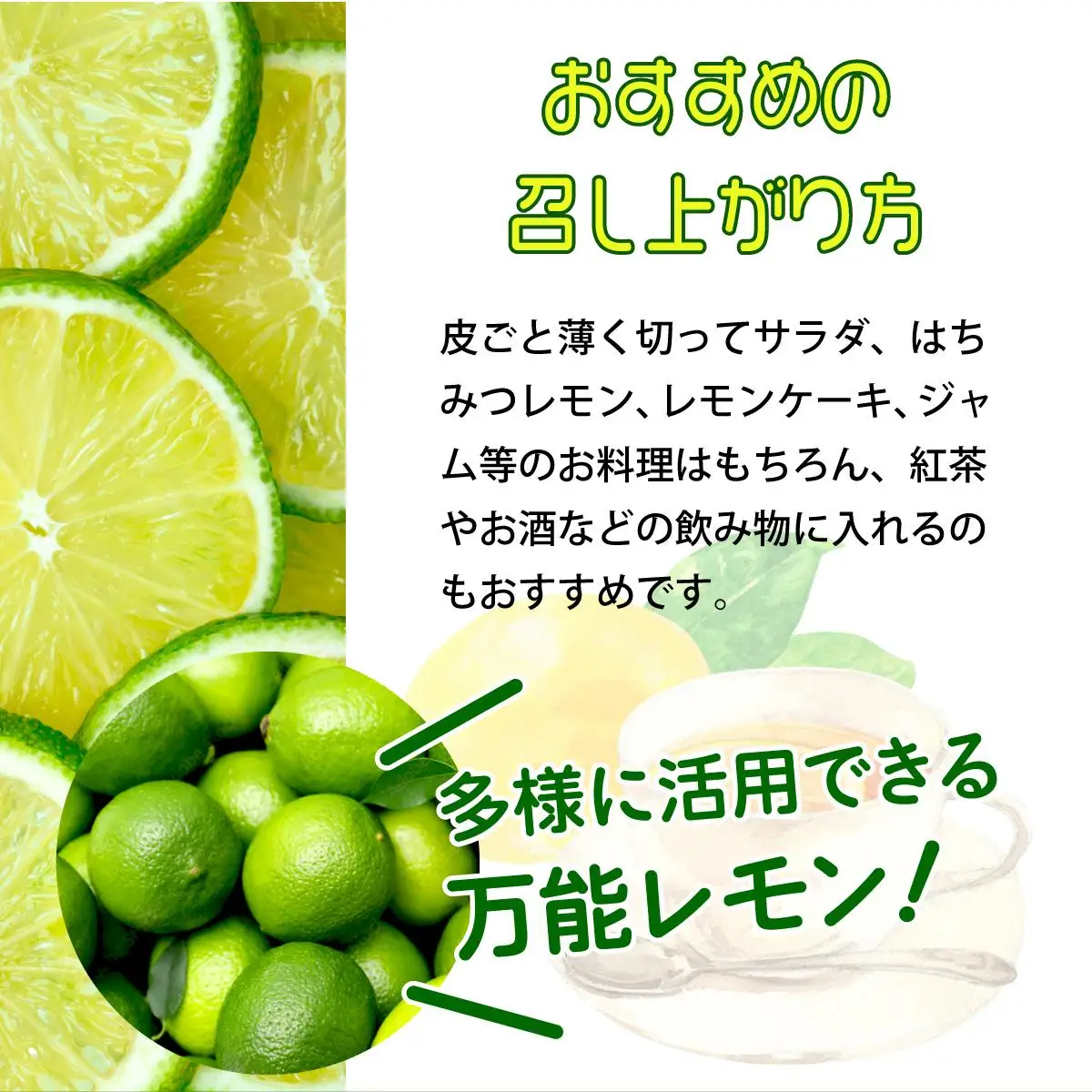 マイヤーレモン （島レモン）約2kg