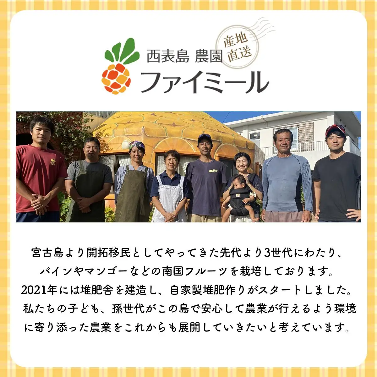 アップルマンゴー 約4kg