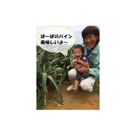 ピーチパイン 約11k