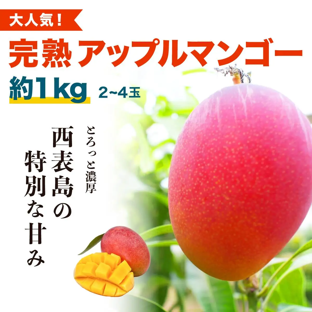 アップルマンゴー 約2kg 