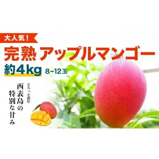 アップルマンゴー 約4kg 