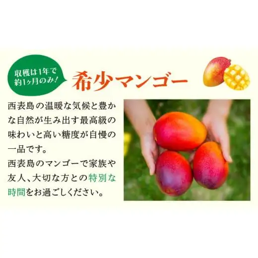 満足度NO.1！1玉1玉検品し、樹上完熟で糖度14度以上のみ発送します！ 西表島プレミアムマンゴー2kg
