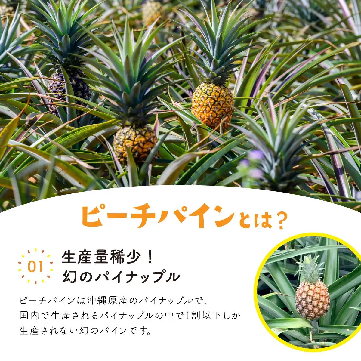 パイン ジュース ITQI2021 7個