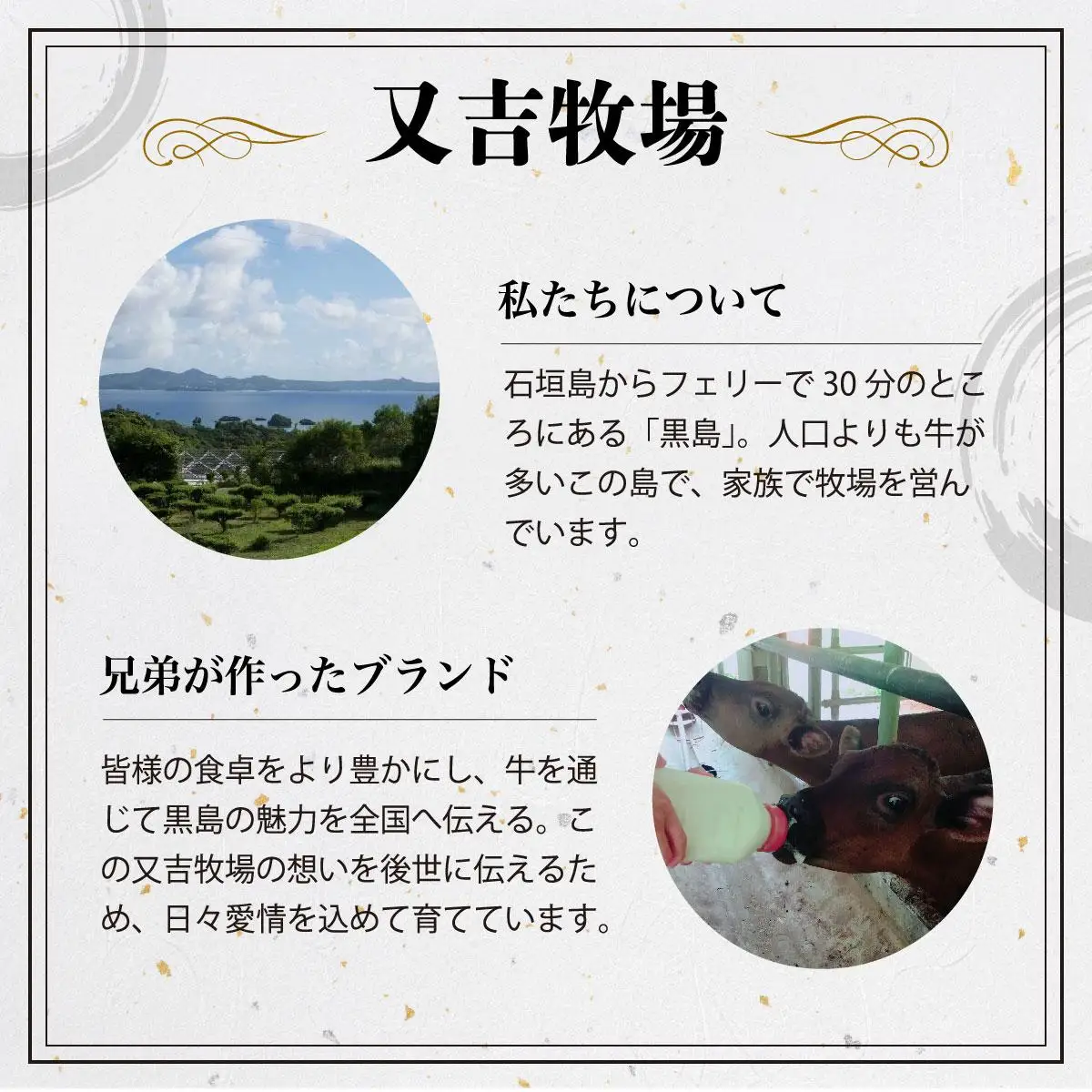 ハンバーグ 牛肉 100% 黒島 アーサ牛 150g×10個 セット