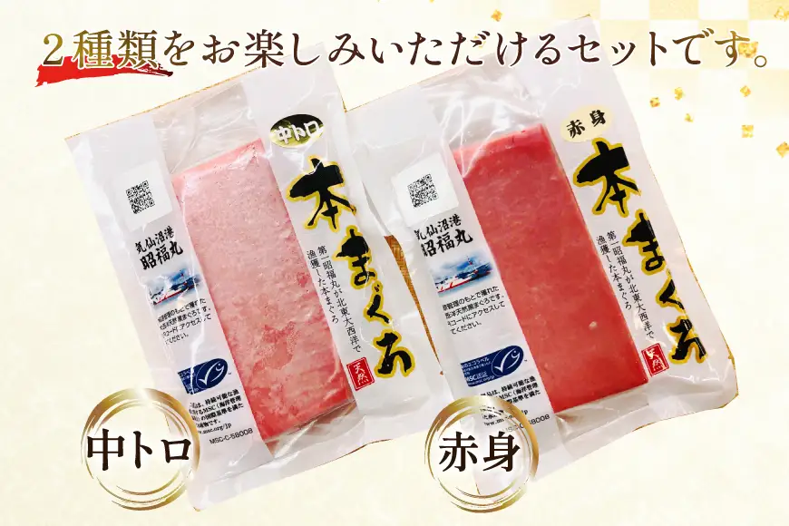 昭福丸の天然本まぐろ (中トロ･赤身) 各150g 計300g [臼福本店 宮城県 気仙沼市 20566155]