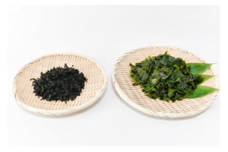 三陸産カットわかめ 100g [横田屋本店 宮城県 気仙沼市 20563917]