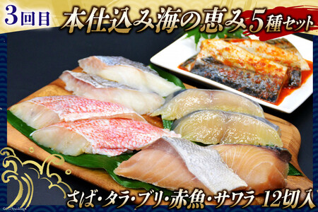 かに いくら マグロ！豪華海鮮定期便 《3ヶ月毎月お届け》 [カネダイ 宮城県 気仙沼市 20564517]