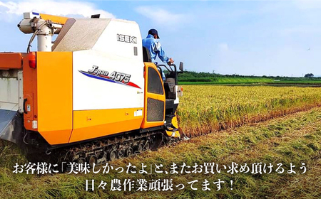 【R8年6月以降発送】【6回定期便】 農家直送！特産物詰合せ / たまねぎ れんこん [IAS018]