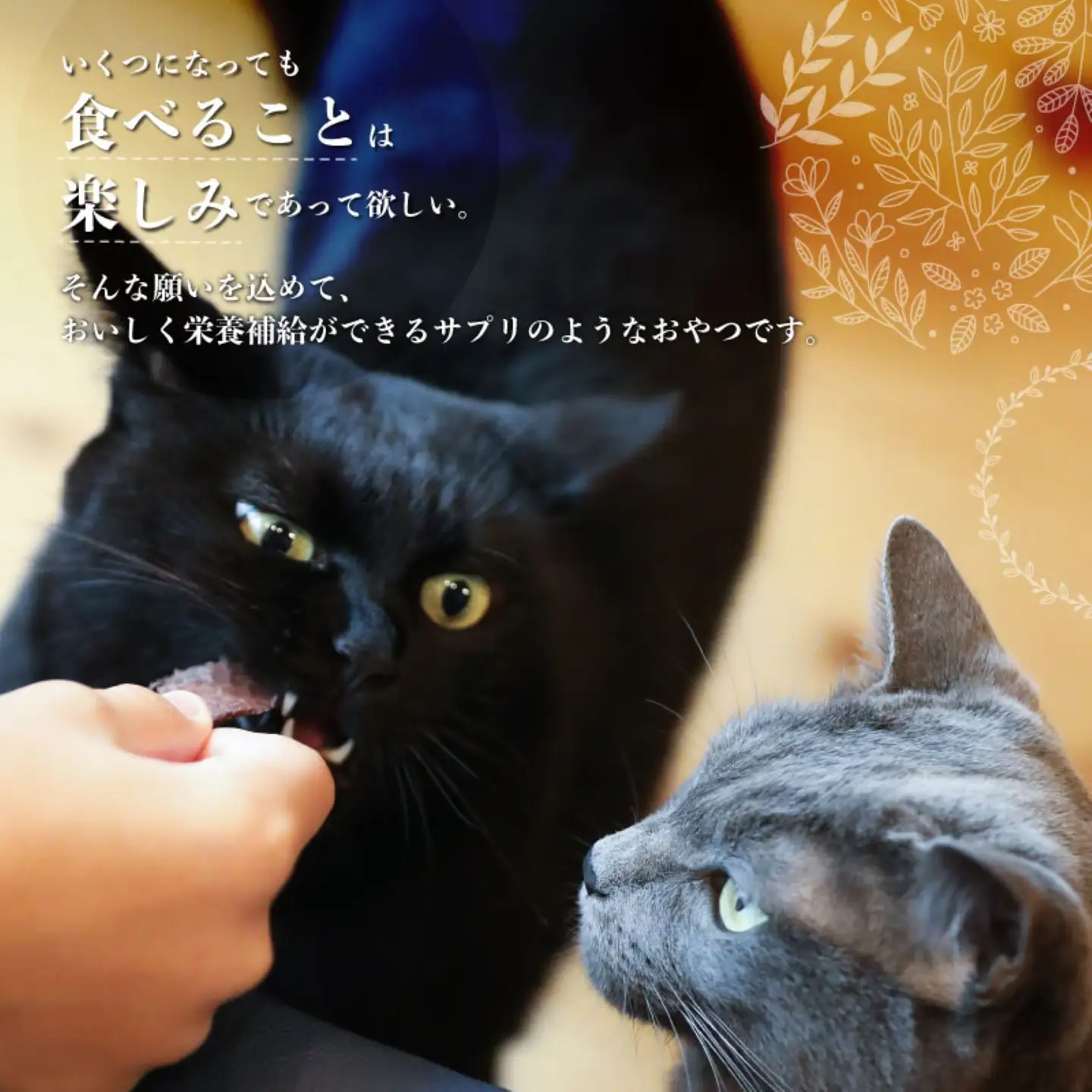 【猫様専用】鹿肉ジャーキーセット