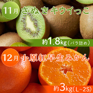 坂出市「旬のフルーツを味わう6回」定期便 【発送月：2月・4月・7月・9月・11月・12月】