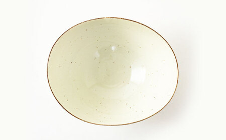 【美濃焼】リップル 変形ボウル 2点セット【山正各務陶器】366039　食器 プレート 皿 鉢 ボウル カレー皿 パスタ皿 白 ホワイト 青 ブルー ネイビー ギフト 送料無料[MFW015]