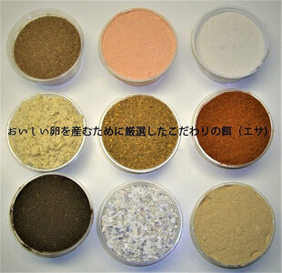 卵 こだわり卵 穂坂のあかたま 30個 6回 定期便 総計180個 [ハイチック 山梨県 韮崎市 20745486]