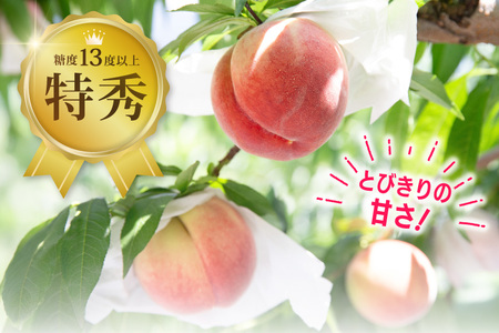 【2026年発送】 先行予約 桃 約3.5kg 共選品 山梨県産 [梨北農業協同組合 山梨県 韮崎市 20743029]