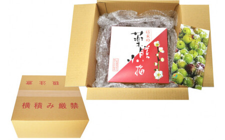 【やわらか】信玄の薬膳小梅干 600g×1  梅干し 国産 [山梨農産食品 山梨県 韮崎市 20743182]