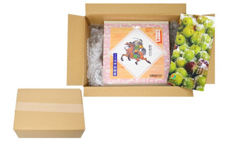 【箸が止まらない】はちみつ風味 干し小梅 600g×1 梅干し 国産 [山梨農産食品 山梨県 韮崎市 20743185] 