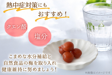 カリカリ梅干し 甲州小梅 300g  国産 減塩 熱中症予防 お弁当 おにぎり [山梨農産食品 山梨県 韮崎市 20743178] 