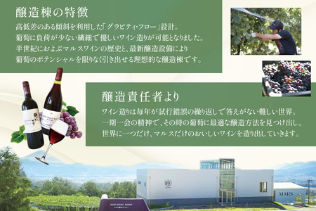 ワイン 赤 おまかせ マルスワイン 2本 セット ソムリエセレクト 日本ワイン ～秋の陣～  [本坊酒造 マルス穂坂ワイナリー 山梨県 韮崎市 20743115]