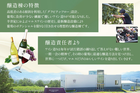 ワイン 白 スパークリング おまかせ  2本セット ソムリエセレクト 日本ワイン ～夏の陣～  [本坊酒造 マルス穂坂ワイナリー 山梨県 韮崎市 20743116] 