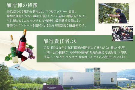 ワイン 赤 白 おまかせ 2本セット ソムリエ セレクト 日本ワイン ～春の陣～ [本坊酒造 マルス穂坂ワイナリー 山梨県 韮崎市 20743117] 