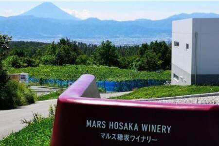 ワイン 白 中口 一升瓶 | マルスワインシルバー 3600ml 1.8L 2本 セット [本坊酒造 マルス穂坂ワイナリー 山梨県 韮崎市 20743447]