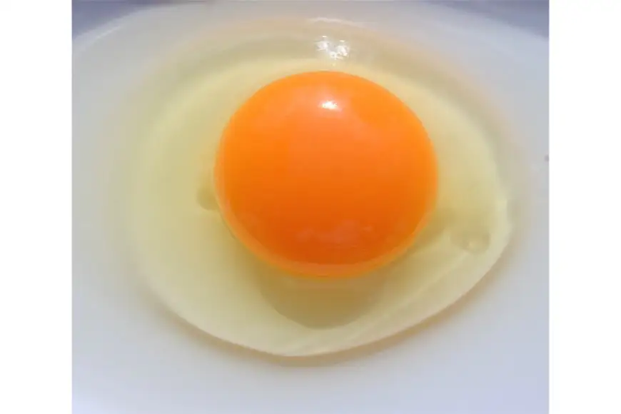 卵 こだわりの卵かけご飯 セット 穂坂のあかたま 10個 2パック 武川米 450g 3袋 [ハイチック 山梨県 韮崎市 20745484]