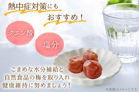 梅干し はちみつ風味 ｜干し小梅 75g×2 国産 漬物 つけもの [山梨農産食品 山梨県 韮崎市 20743523] 