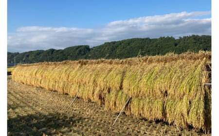 米 武川米 コシヒカリ 5kg [梨北農業協同組合 山梨県 韮崎市 20743510]