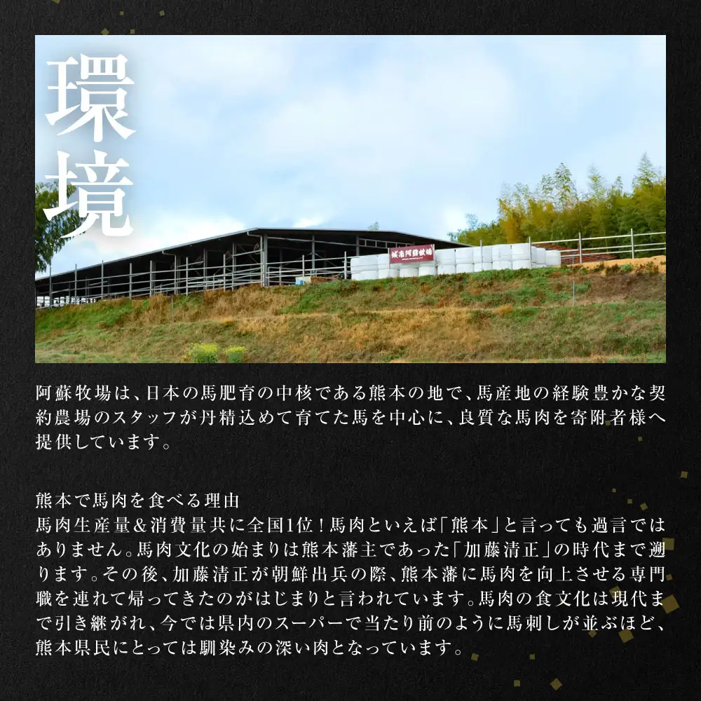大トロ馬刺し 300g 馬さし お肉 馬肉 刺身 刺し身 馬刺し 馬刺しブロック 霜降り おかず おつまみ 熊本県 八代市