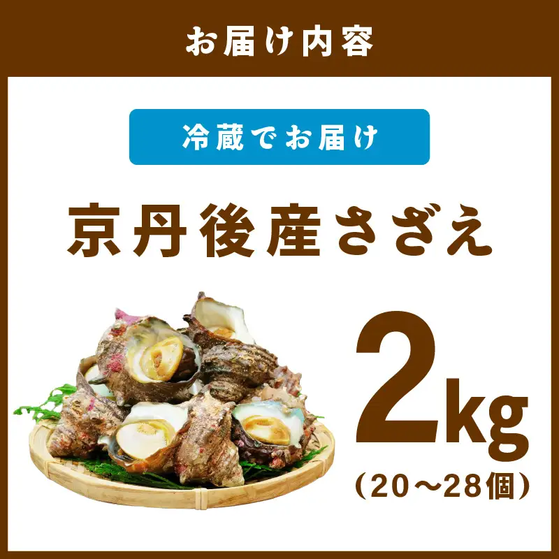 京丹後産さざえ2kg！活けサザエ