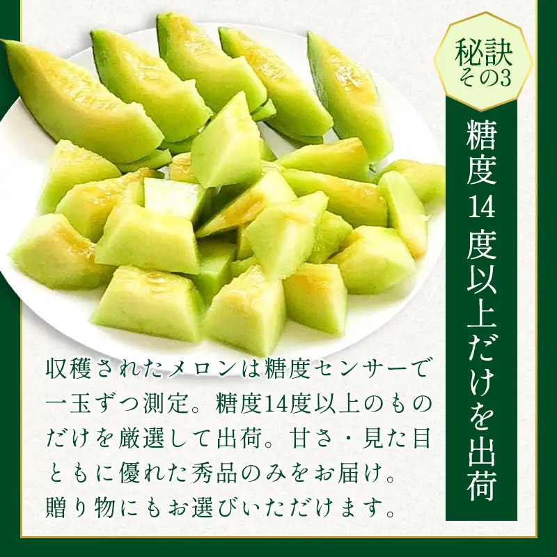 A-1147 益田産あまーいアムスメロン ２玉（秀品）