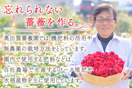 薔薇のお茶とローズシロップセット【バラ お茶 8g 2袋 ローズシロップ 120ml 2本 薔薇 ローズ シロップ トッピング ハーブティ 紅茶 お酒 カクテル 贈答 ギフト プレゼント 母の日】