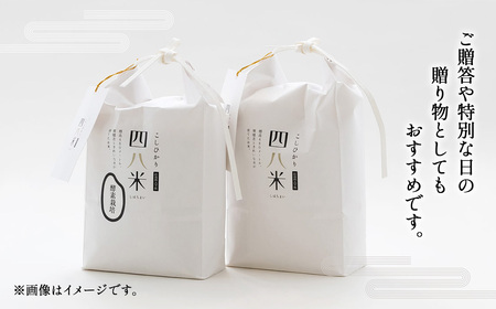 【四八米】酵素プレミアム　3kg No.287