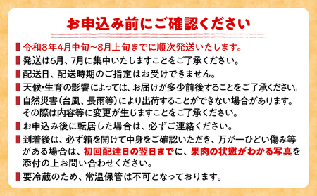 リピーター続出!!宮崎県産 完熟 マンゴー 2L以上×4玉 令和8年発送分 数量限定 フルーツ 果物 果汁 希少 濃厚 ジューシー 贅沢 上質 ご褒美 人気 国産 食品 おやつ デザート 産地直送 おすすめ ギフト プレゼント 贈り物 お土産 手土産 南国 日南市 送料無料_ED10-25