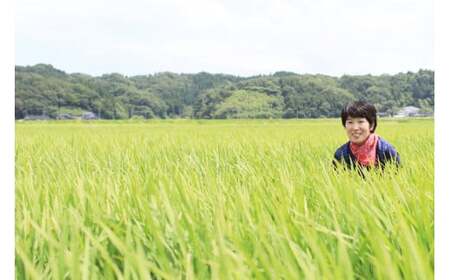 【期間限定発送】 米 令和7年 ゆめみづほ 白米 5kg [みどりの波 石川県 宝達志水町 38601254]