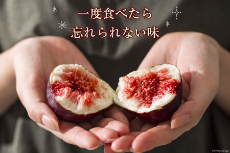 【期間限定発送】 いちじく 生 完熟 約1.2kg (300g×4パック) [モアショップヤマモト 石川県 宝達志水町 38600615]