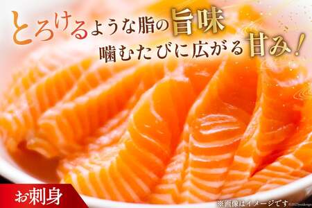 訳あり サーモン 刺身 トロ ハラス  総重量1kg [足利本店 宮城県 気仙沼市 20564915]