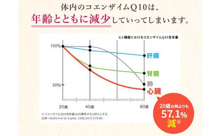 ＜機能性表示食品＞DHC コエンザイムQ10還元型 30日分2個セット サプリメント 健康食品 加工食品 抗酸化作用 エネルギー産生を助ける 酸化ストレスを緩和 