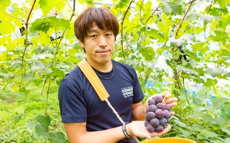 中村柿ぶどう園 濃縮ぶどうビネガー 300ml×2本  フルーツビネガー 果実酢 フルーツ酢 お酢 酢 ビネガー 濃縮タイプ 飲料 福岡県 うきは市