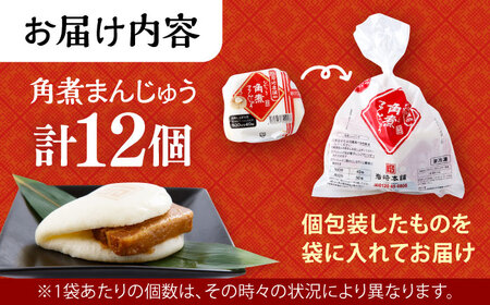 長崎角煮まんじゅう 12個 角煮まん 中華まん 惣菜 おやつ ACAH006 岩崎本舗