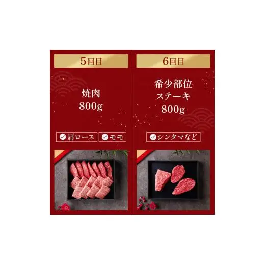 【和牛セレブ】神戸牛 定期便「ファーストクラス」（定期便６回）[982]