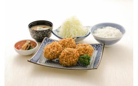 ロースかつとヒレかつ合盛りセット（3～4人前）　加熱調理済　トースターで楽々調理！