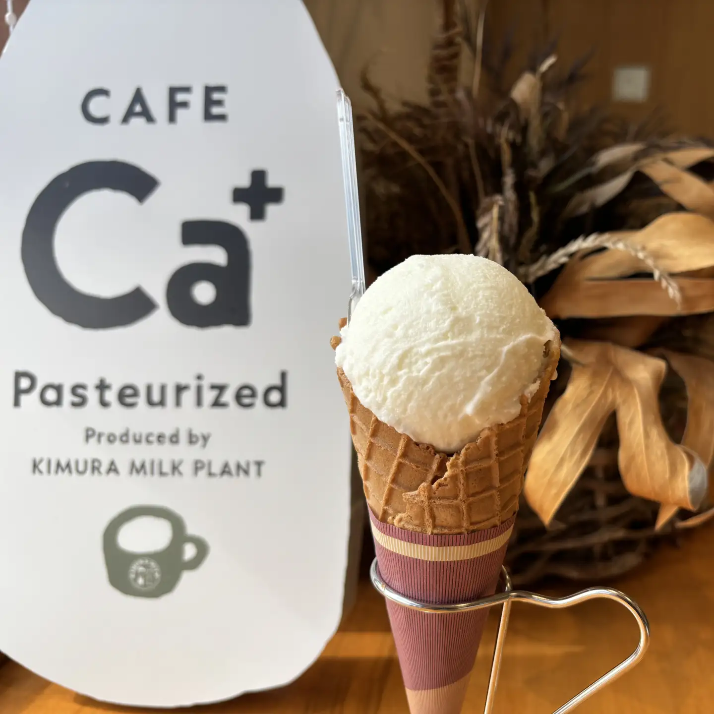 【ふるなびWEEK対象】ジェラート 木村ミルクジェラート 10個