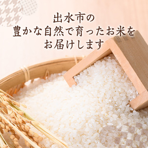 【6回定期便(連続)】鹿児島県 出水市産 ヒノヒカリ 山水米 5kg×6回 定期便 精米 白米 【JA鹿児島いずみ(米)】 i874-A