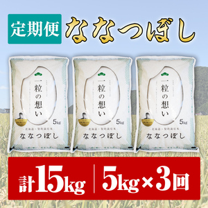 【令和7年産】《 定期便・全3回 》上士別の生産者がつくるななつぼし ( 5kg×3回・計15kg)  北海道 士別市産 米 お米 白米 北海道産 北海道米 ななつぼし 特A 一等級 コメ 単一原料米 定期便 5kg 15kg【天塩の恵み上士別】【D7062】