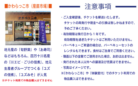 26-180．【利用券】四万十カヌーとキャンプの里 かわらっこで使える！（3,000円分）
