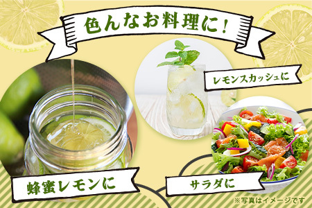 【産地直送】【農家直送】【予約受付】佐賀県鹿島市産　マイヤーレモン　5kg サイズ混合【９月～2月頃まで配送】 B-726