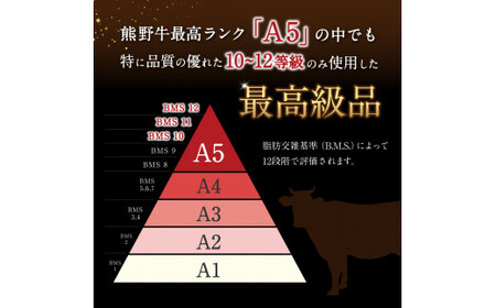 特選　和歌山県産熊野牛ヒレステーキ　150g×2枚 / 和歌山県 田辺市 熊野 熊野牛 牛肉 ステーキ 冷凍便 【sks002】