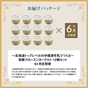【定期便：全6回】【無添加】北海道 フローズンヨーグルト×12個【1105302】