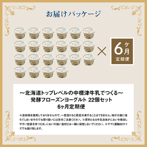 【定期便：全6回】【無添加】北海道 フローズンヨーグルト×22個【1106202】