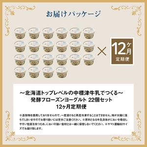 【定期便：全12回】【無添加】北海道 フローズンヨーグルト×22個【1106302】
